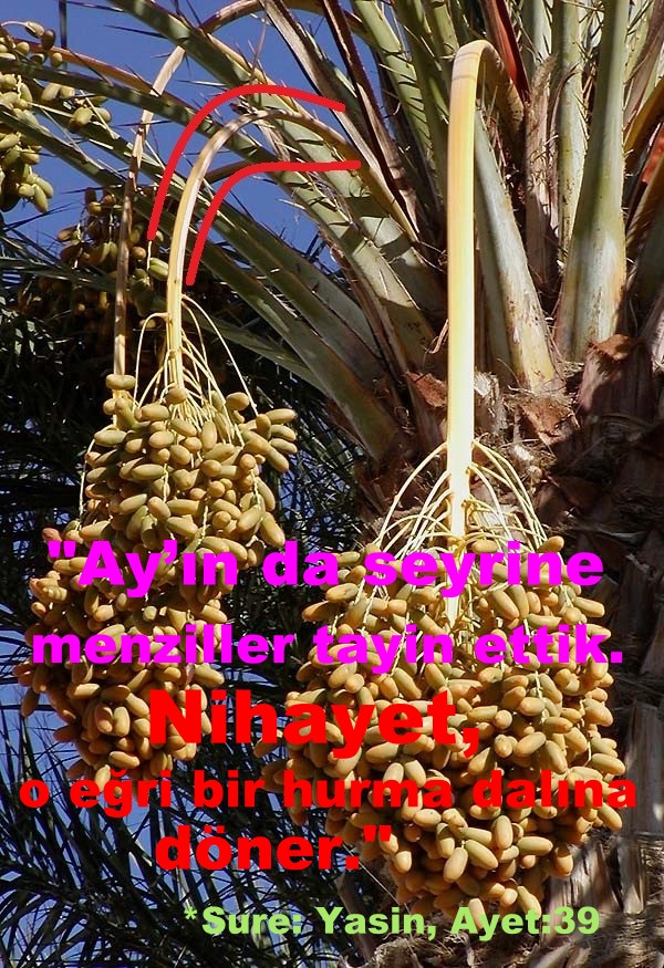 Urcun’i Kadim